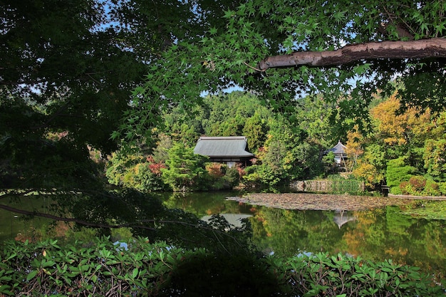 Il parco nel tempio di Ryoanji Kyoto in Giappone