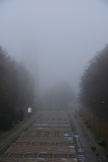 Il parco pubblico autunnale con alberi è annegato nella nebbia