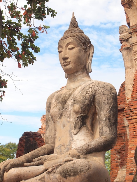 Il parco storico di Ayutthaya copre le rovine della città vecchia