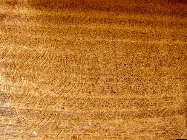 Il pavimento in legno ha bellissimi motivi naturali