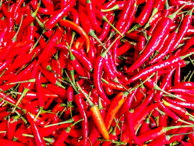 Il peperoncino rosso si adatta allo sfondo dello schermo e allo sfondo