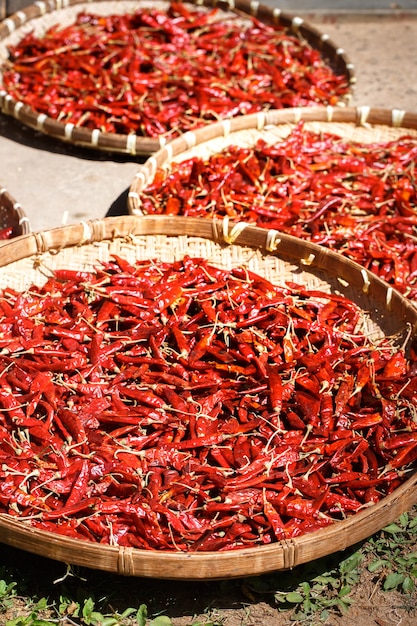 Il peperoncino rosso viene essiccato al sole in grandi cesti di vimini