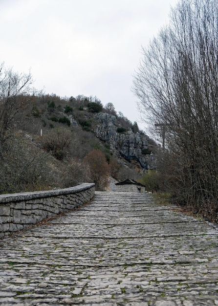 Il percorso vuoto di ciottoli conduce alla montagna Albero secco cielo nuvoloso giornata invernale in Epiro Grecia Verticale