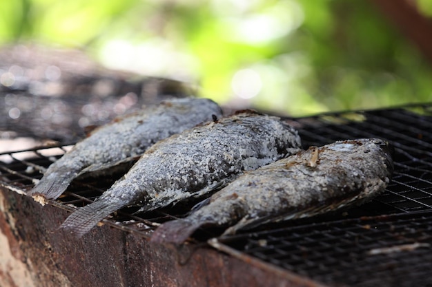 Il pesce alla griglia con sale è delizioso.