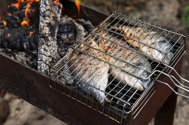 Il pesce Dorado è fritto alla griglia. Picnic in natura. Avvicinamento.