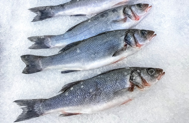 Il pesce fresco della spigola si trova su ghiaccio. Vista dall'alto