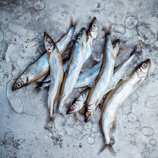 Il pesce fresco Shishamo cattura pienamente le uova sulla stalla dei frutti di mare freschi.