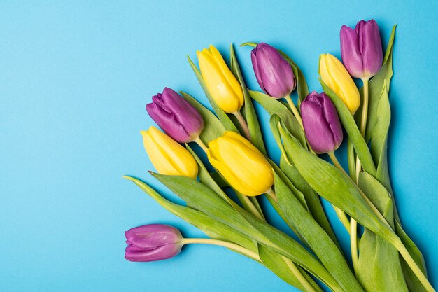 Il piano floreale dei tulipani gialli e viola mette sul blu