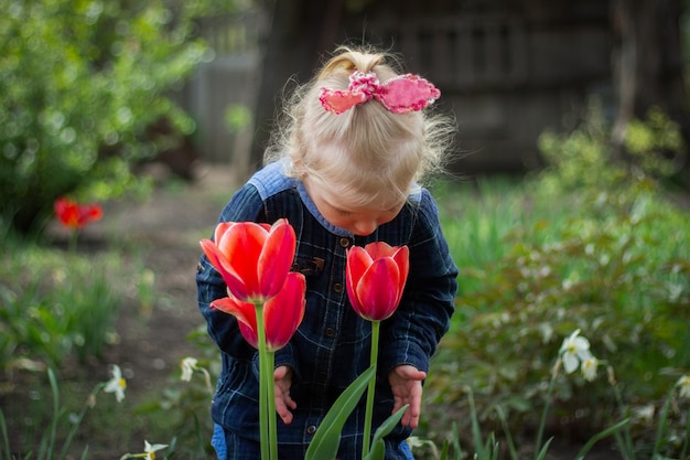 Il piccolo bambino biondo della ragazza cammina nel giardino vicino ai tulipani rossi rossi, gode dell'aroma dei fiori della molla.