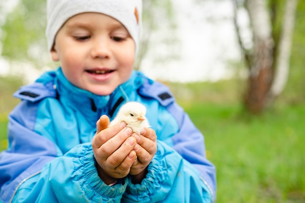 Il piccolo contadino felice del ragazzo del bambino tiene un pollo del bambino nelle sue mani nella natura all'aperto. stile di campagna