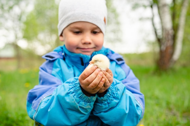 Il piccolo contadino felice del ragazzo del bambino tiene un pollo del bambino nelle sue mani nella natura all'aperto. stile di campagna