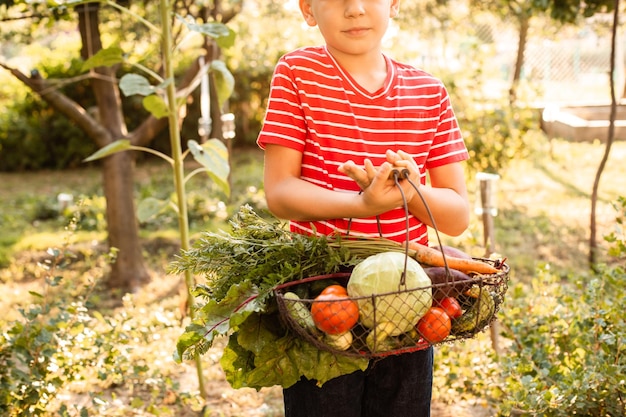 Il piccolo contadino tiene in mano un cesto di verdure fresche