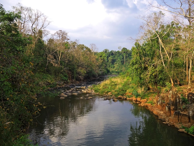 Il piccolo fiume nella giungla del Laos