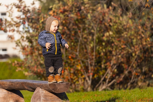 Il piccolo ragazzo del bambino cammina allegramente, fa i primi passi su una panca di legno nel parco