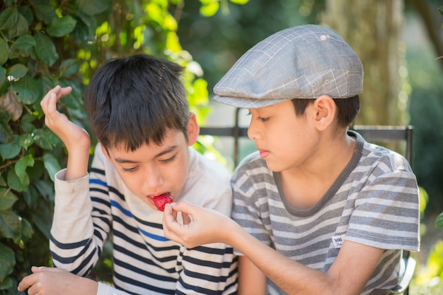 Il piccolo ragazzo del fratello germano che mangia e che combatte mentre mangia la fragola