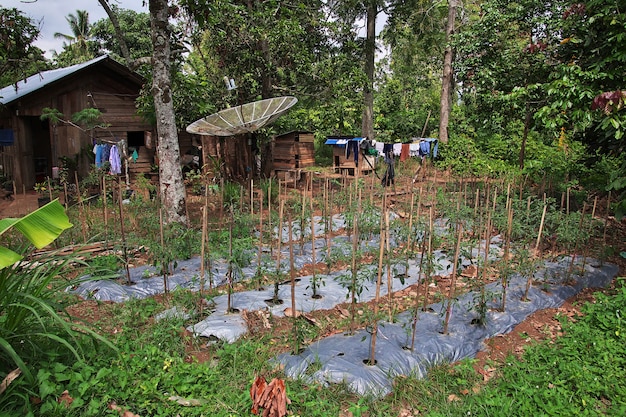 Il piccolo villaggio dell'Indonesia