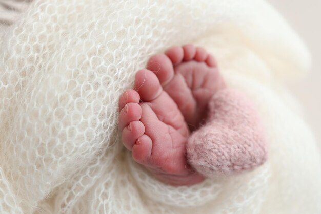 Il piede minuscolo di un neonato Piedi morbidi di un appena nato in una coperta di lana bianca Close-up delle dita dei piedi e dei piedi di un nuovo nato Cuore rosa a maglia nelle gambe di un bambino Fotografia macro
