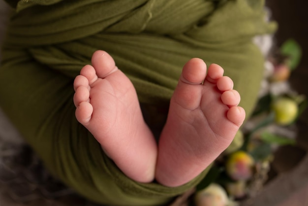 Il piedino di un neonato Piedi morbidi di un neonato in una coperta di lana verde Primo piano delle dita dei piedi talloni e piedi di un neonato Studio Macrofotografia La felicità della donna