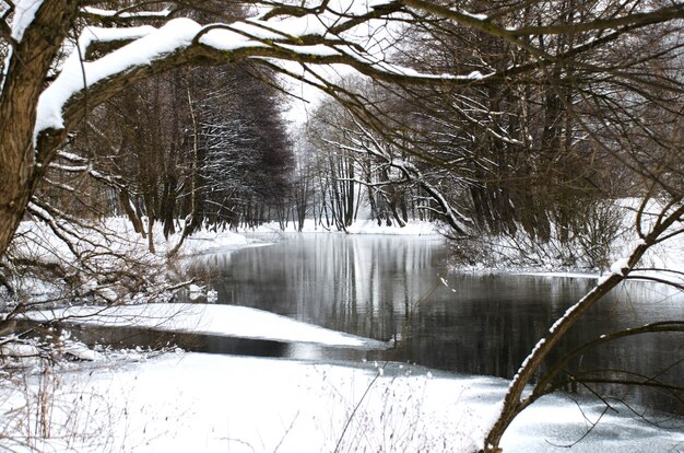 Il pittoresco fiume nella foresta invernale