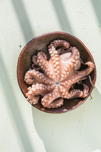 Il polpo è crudo pronto per essere cucinato Concetto creativo di cibo sano con foto di deliziosi frutti di mare