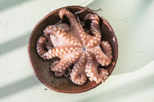 Il polpo è crudo pronto per essere cucinato Concetto creativo di cibo sano con foto di deliziosi frutti di mare