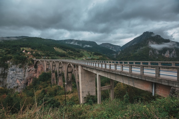 Il ponte ad arco in cemento di Durdevica