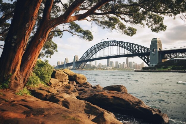 Il ponte del porto di Sydney in Australia