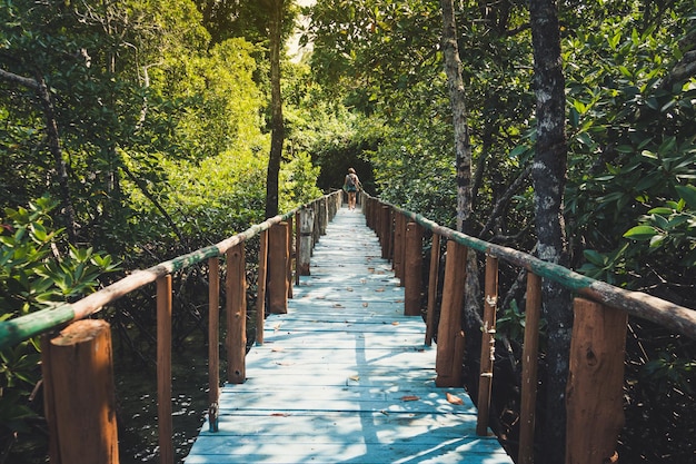 Il ponte di legno conduce alla giungla in Thailandia sotto il cielo blu