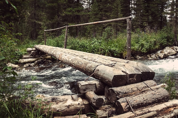 Il ponte in legno passa attraverso il fiume della foresta