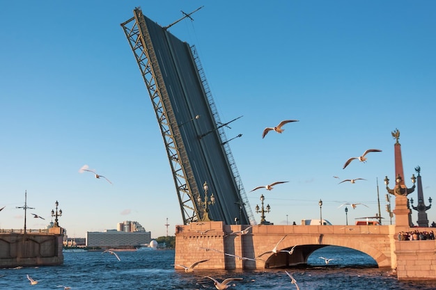 Il ponte Troitskiy a San Pietroburgo al tramonto e uno stormo di gabbiani in volo in riva al fiume.