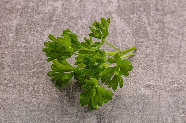 Il prezzemolo verde lascia il mucchio isolato