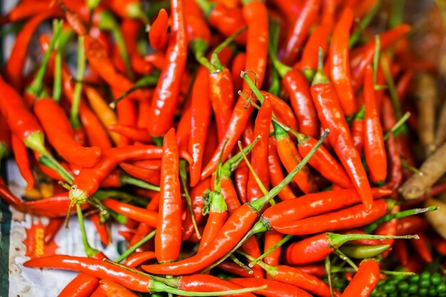 Il primo piano che molti peperoni rossi cucinano o peperoncini piccanti è verdure piccanti.