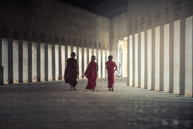 Il principiante buddista sta camminando in tempio, Myanmar