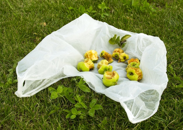 Il problema con l'inquinamento Il pacchetto si trova sull'erba verde Rifiuti sul prato