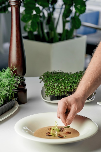 Il processo di decorazione della zuppa di crema di funghi Lo chef mette le spezie e i funghi su un piatto