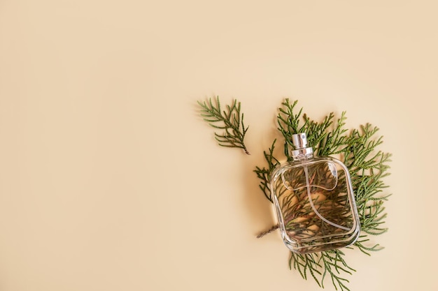 Il profumo spray del prodotto cosmetico in una bottiglia di vetro con un aroma fresco si trova sulle foglie verdi di sfondo beige thuja una vista dall'alto dello spazio della copia