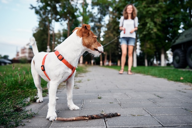 Il proprietario cammina con il cane all'aperto.