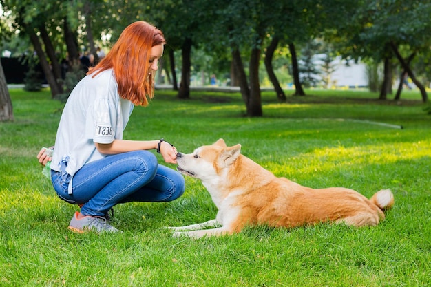 Il proprietario della razza giapponese Akita inu gioca con il cane sull'erba verde