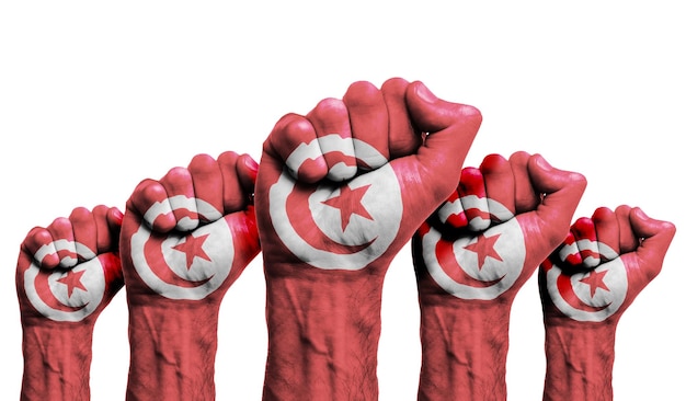 Il pugno alzato di un manifestante dipinto con la bandiera della Tunisia