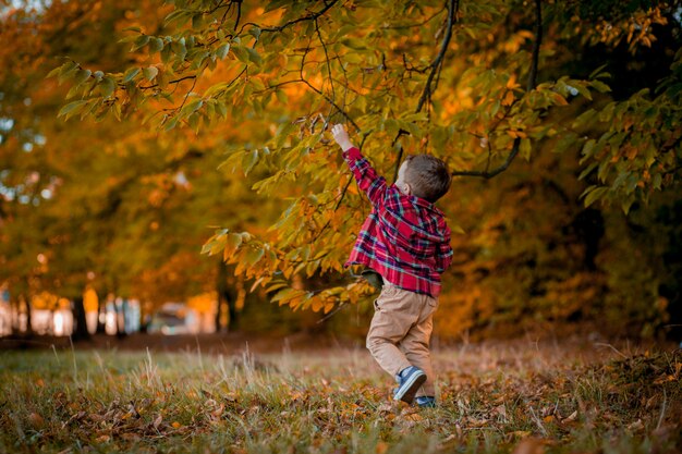 Il ragazzino cammina in natura in autunno, un bambino in età prescolare nel parco di autunno in foglie gialle