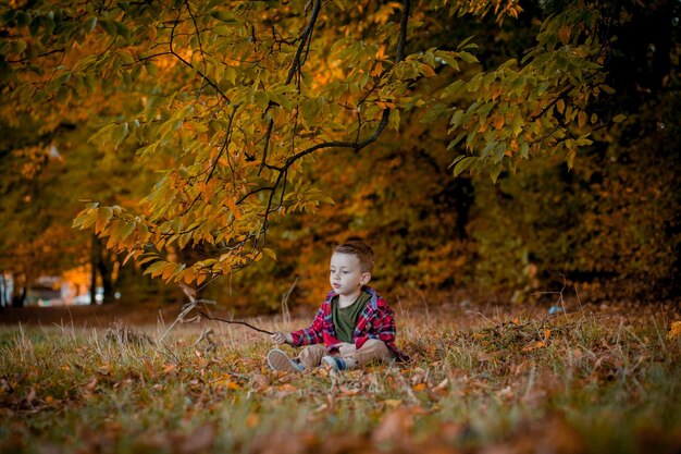 Il ragazzino cammina nella natura in autunno un bambino in età prescolare in autunno Parco in foglie gialle