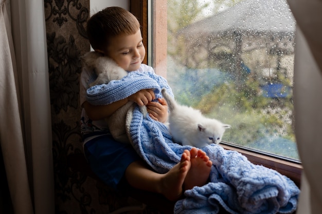 Il ragazzino coperto di coperta a maglia blu è seduto sul davanzale della finestra con gattini bianchi e soffici