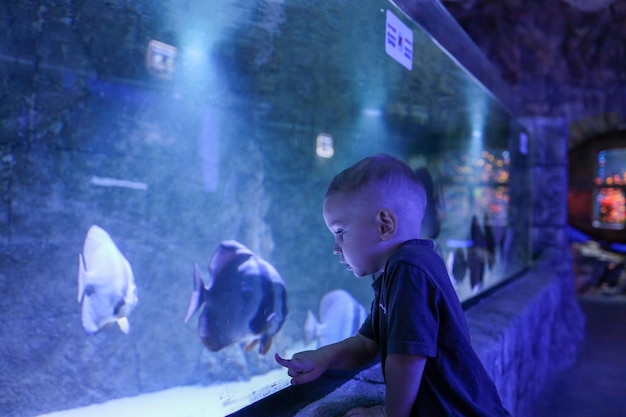 Il ragazzino nell'acquario guarda il pesce