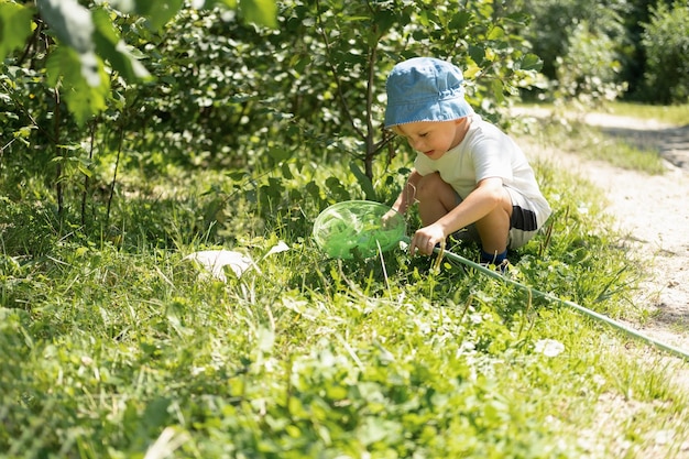 Il ragazzino sta camminando con una rete per farfalle e sta catturando farfalle sulle verdi colline in una soleggiata giornata estiva