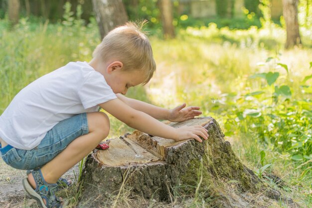 Il ragazzino sta giocando nel parco con le macchinine