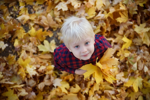 Il ragazzo biondo con un mazzo delle foglie di autunno sta e cerca