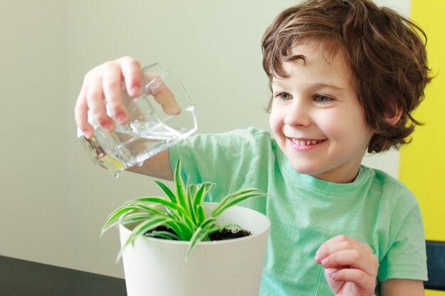 Il ragazzo del bambino riccio in maglietta blu sta sorridendo e innaffiando la pianta d'appartamento in vaso in casa