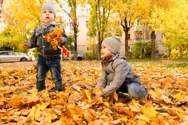 Il ragazzo e la ragazza felici giocano nel fogliame di autunno