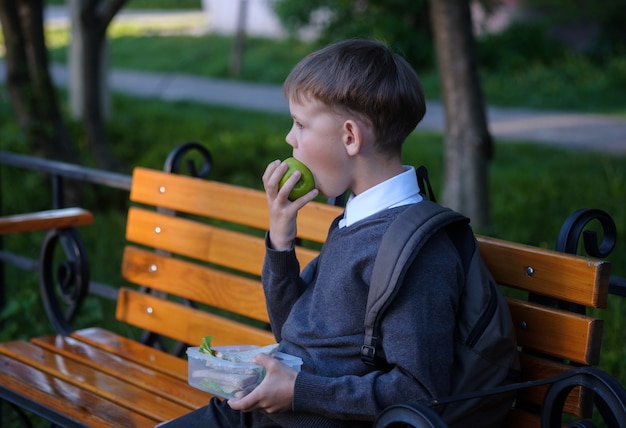 Il ragazzo europeo sveglio mangia la colazione della scuola sulla panchina del parco dopo la lezione