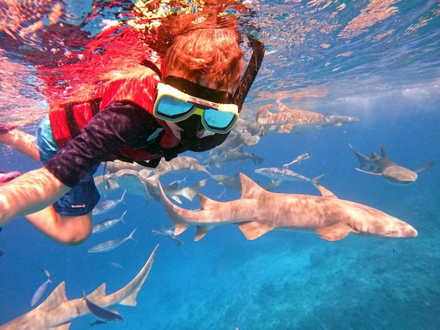 Il ragazzo fa snorkeling con gli squali Fotografia subacquea